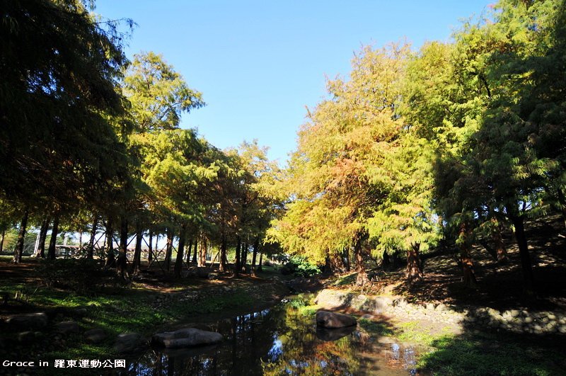 羅東運動公園~我是葛瑞絲2010.12.13