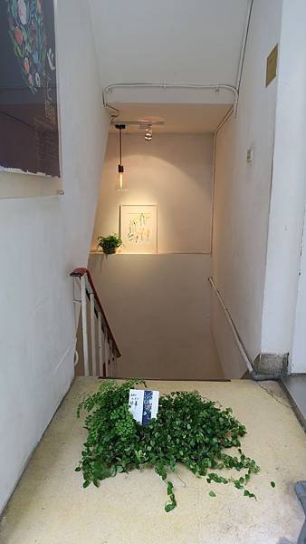 IMG_4347.jpg