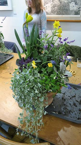 IMG_4512.jpg