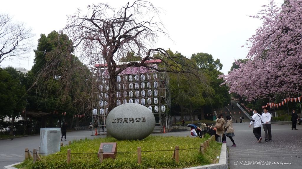 上野恩賜公園再度遇見美麗的櫻花