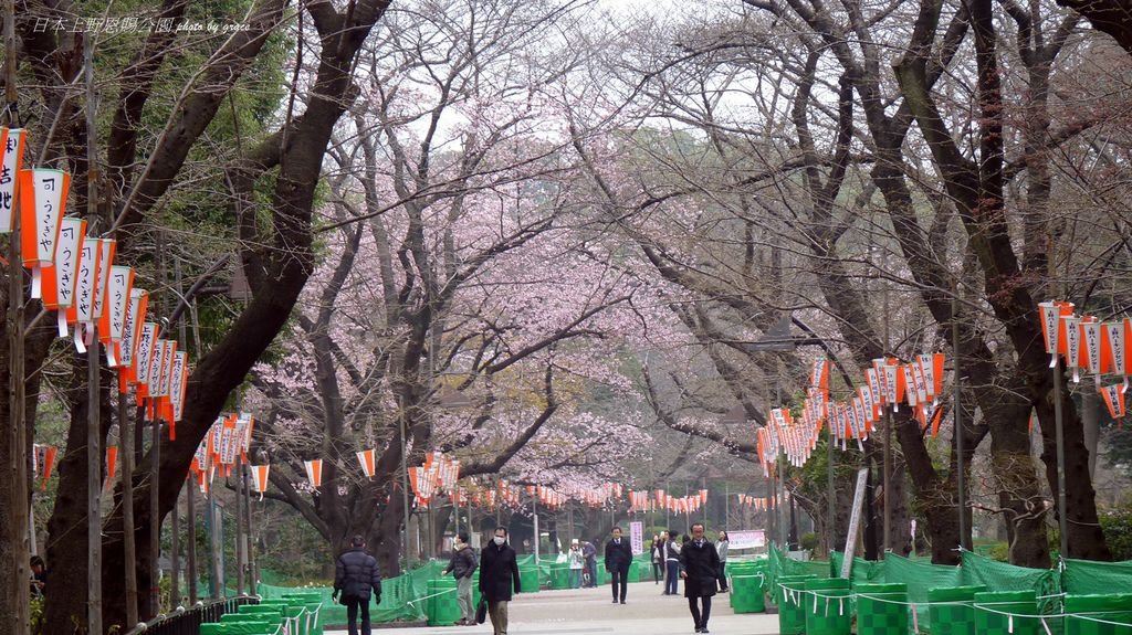 上野恩賜公園再度遇見美麗的櫻花