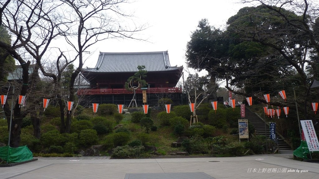 上野恩賜公園再度遇見美麗的櫻花