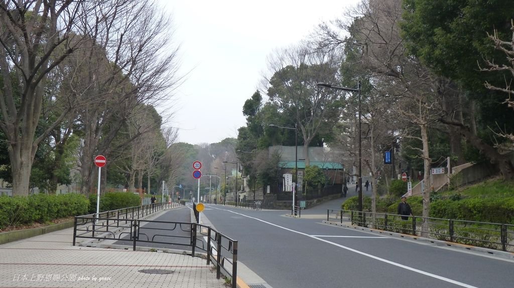 上野恩賜公園再度遇見美麗的櫻花