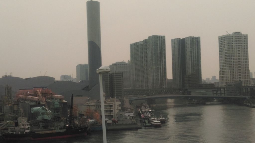 日本東京台場,我看到自由女神了....