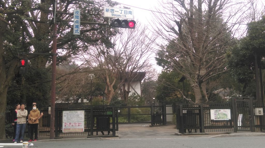 東京新宿御苑賞花趣 (一)