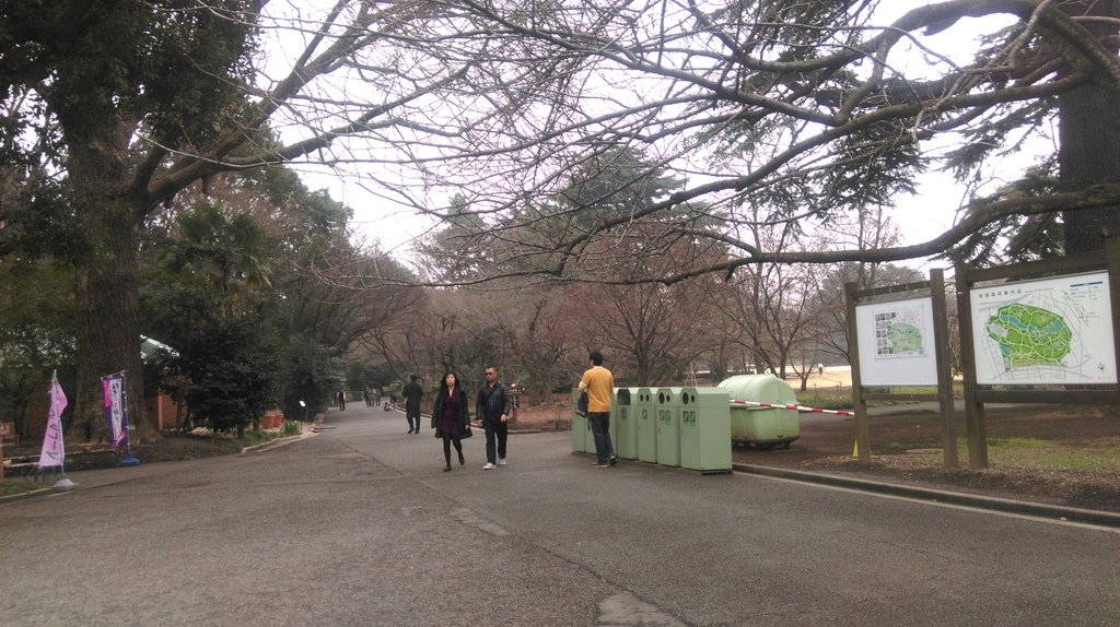 東京新宿御苑賞花趣 (一)