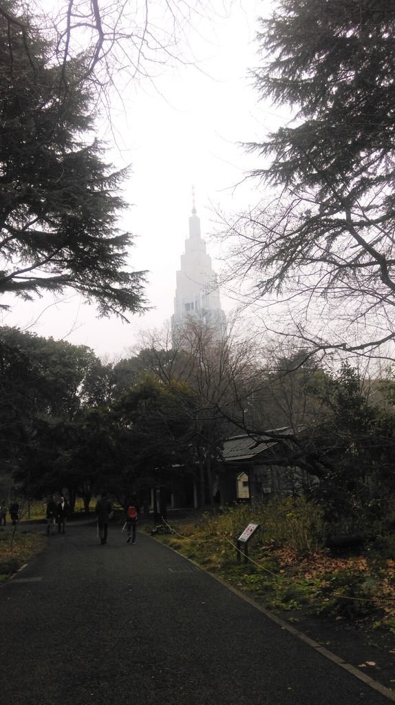 東京新宿御苑賞花趣 (一)