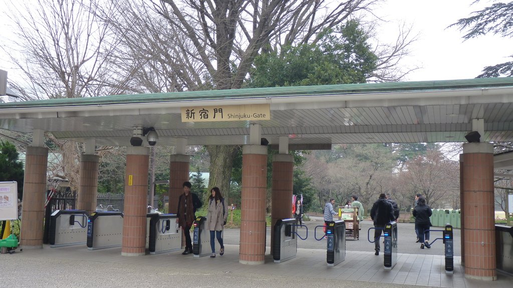 東京新宿御苑賞花趣 (一)