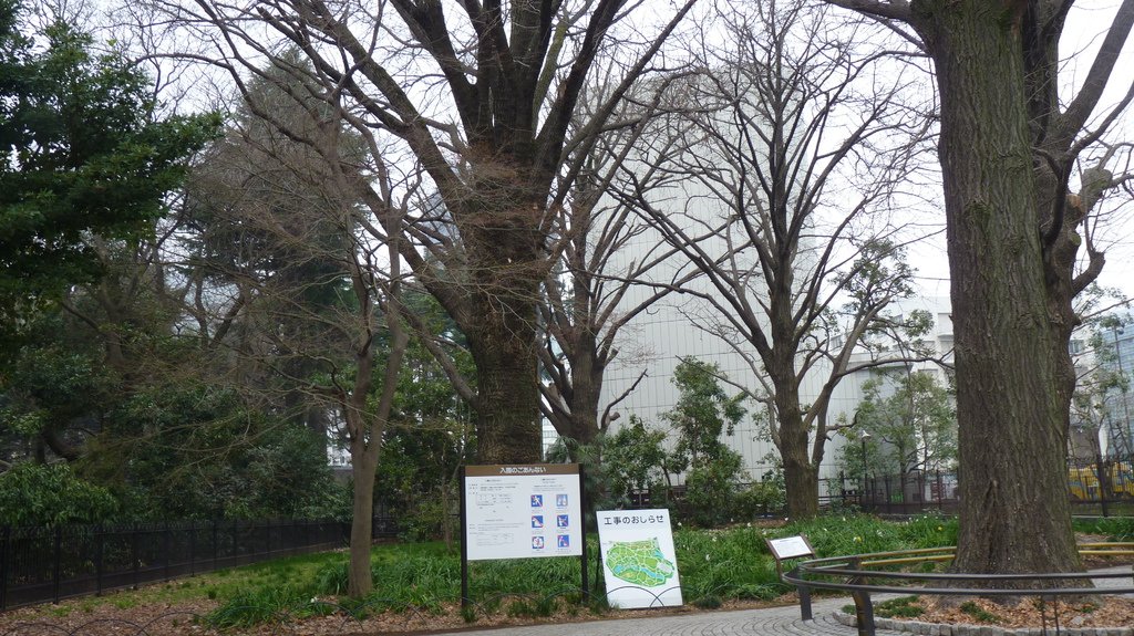 東京新宿御苑賞花趣 (一)