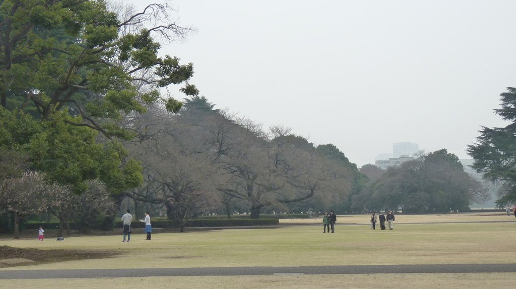 東京新宿御苑賞花趣 (一)