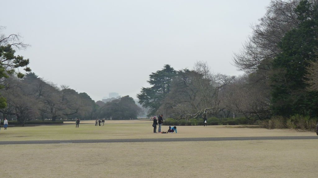 東京新宿御苑賞花趣 (一)