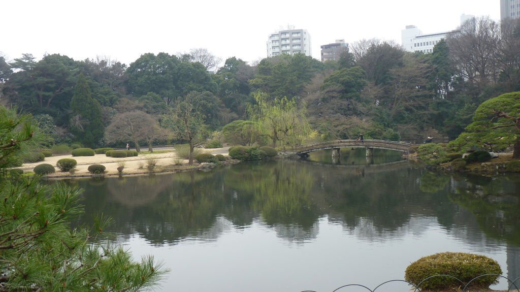 新宿御院日式庭園與櫻花