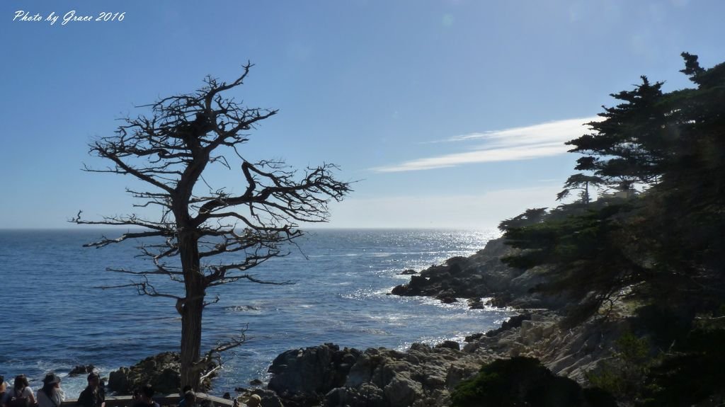 情侶角 Lovers Point &amp; 美麗的世界級高爾夫球場