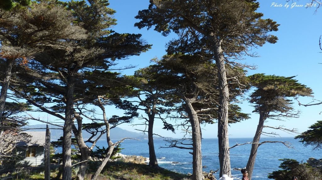 情侶角 Lovers Point &amp; 美麗的世界級高爾夫球場