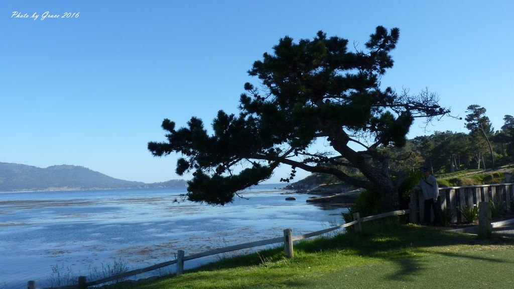 情侶角 Lovers Point &amp; 美麗的世界級高爾夫球場