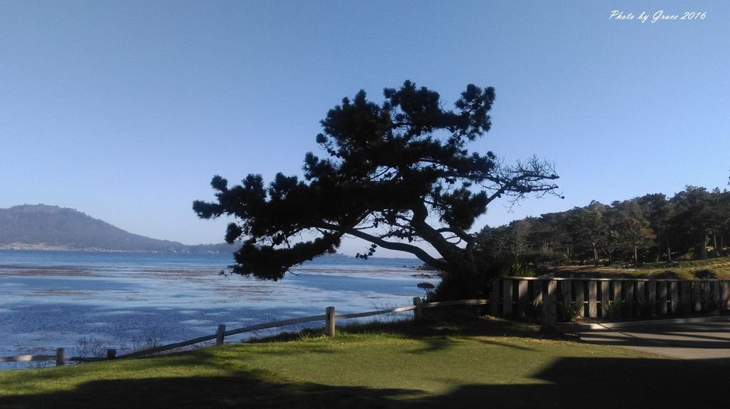 情侶角 Lovers Point &amp; 美麗的世界級高爾夫球場