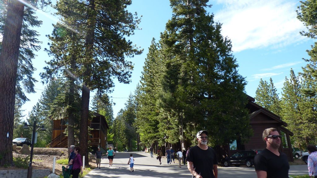 美麗的太浩湖 LAKE TAHOE