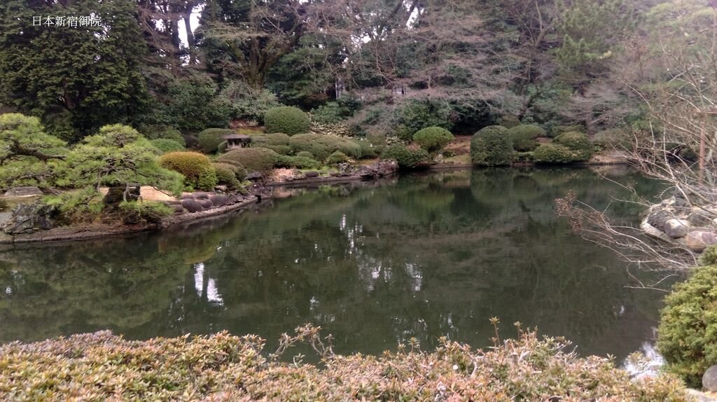 新宿御院日式庭園與櫻花