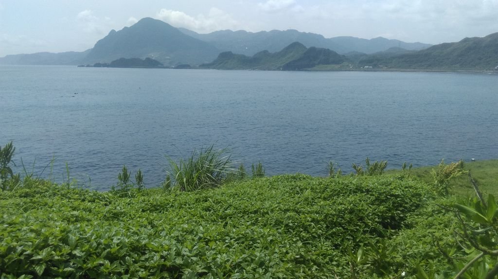 讓我們看海去-潮境公園