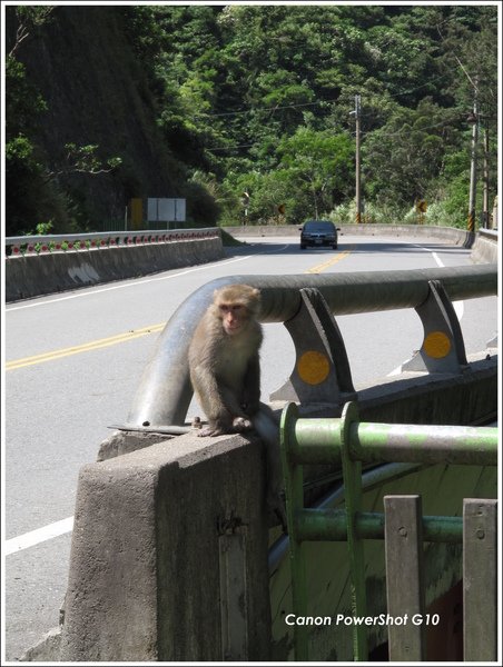 富東公路登仙橋