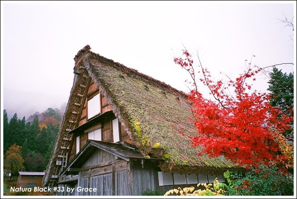 黑部立山Day5