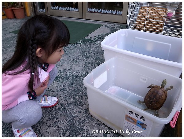 4Y1M小班生第三週