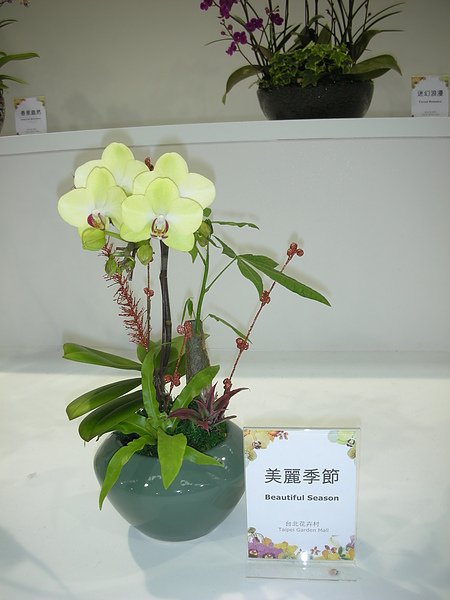 DSCN3544.JPG