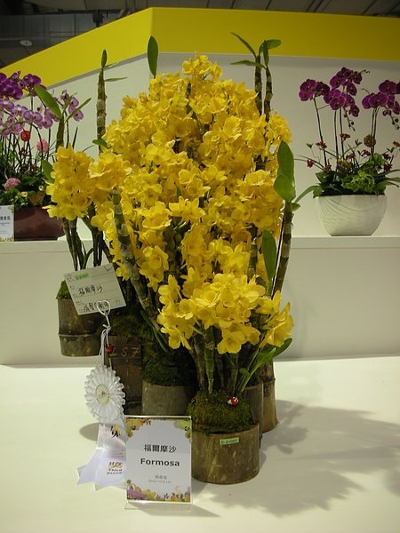 DSCN3556.JPG