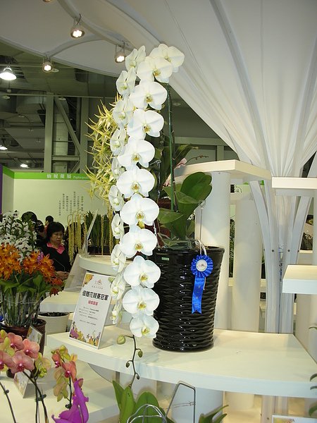 DSCN3552.JPG