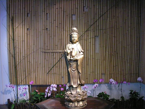 DSCN3353.JPG
