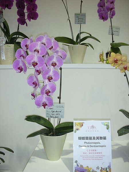 DSCN3547.JPG