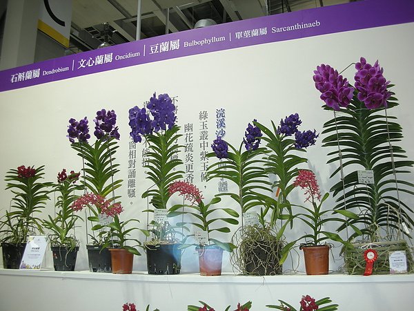 DSCN3558.JPG