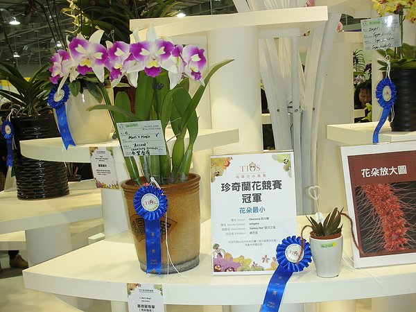 DSCN3554.JPG