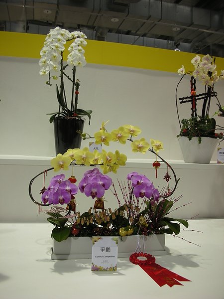 DSCN3557.JPG