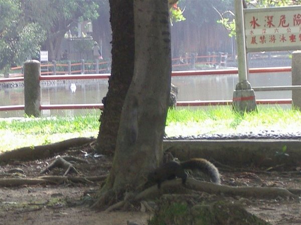 IMGP1251.JPG