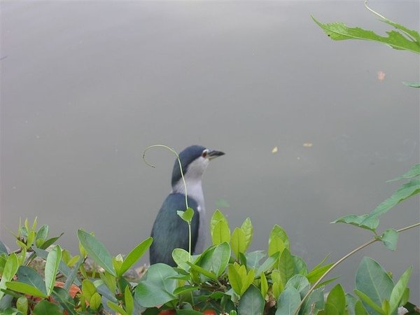 IMGP1268.JPG