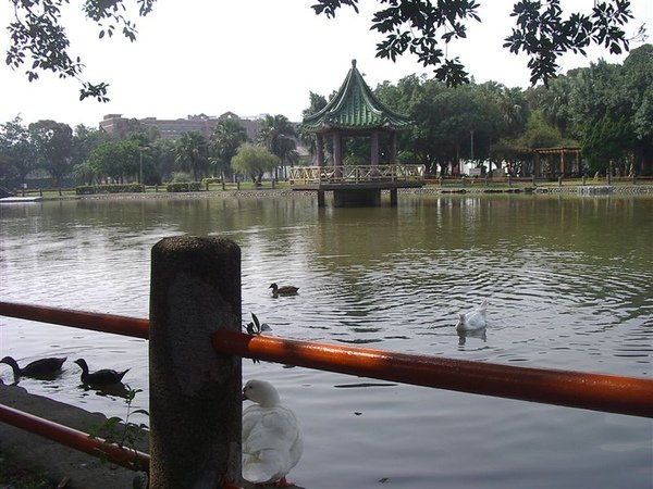 IMGP1279.JPG