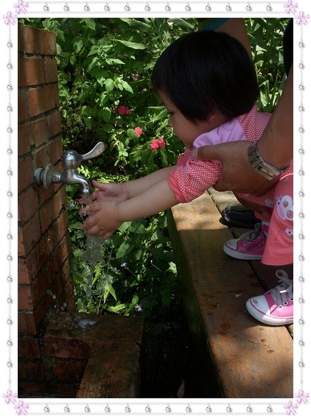 DSCN9288.jpg