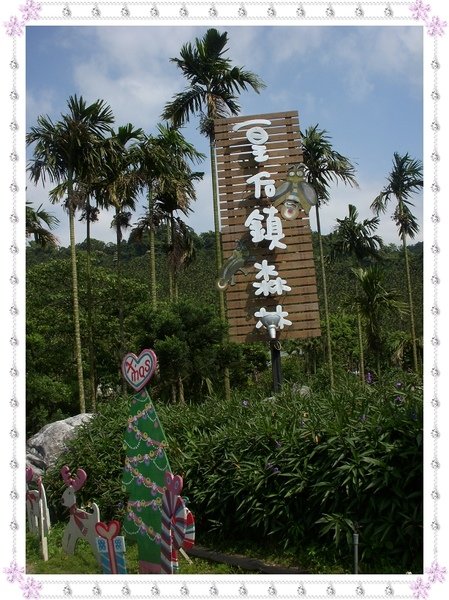 DSCN9365.jpg