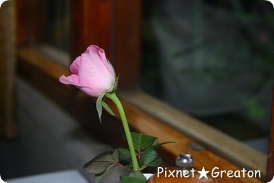 IMG_0015-1.JPG