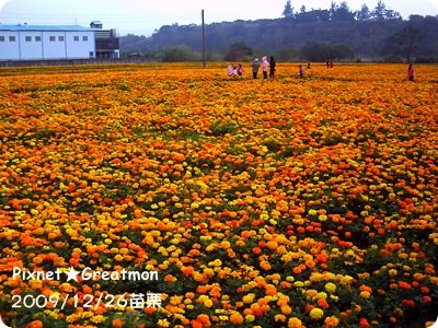 PICT0009-1.jpg