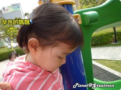 P1010368-1.JPG