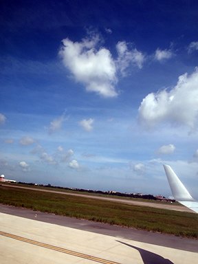 P1010066.jpg