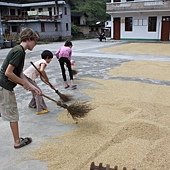 綠土地的孩子_6.JPG