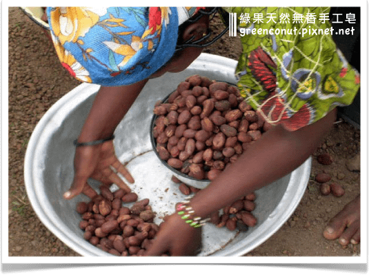 shea-butter-西非乳油木果脂-綠果手工皂