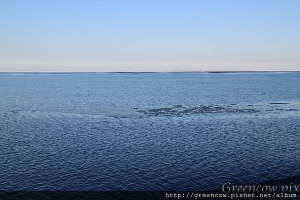 batch_IMG_7635.JPG
