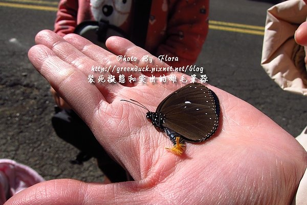 裝死及毛筆器.jpg