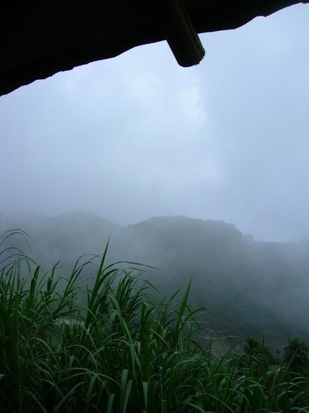 嘉義奮起湖1