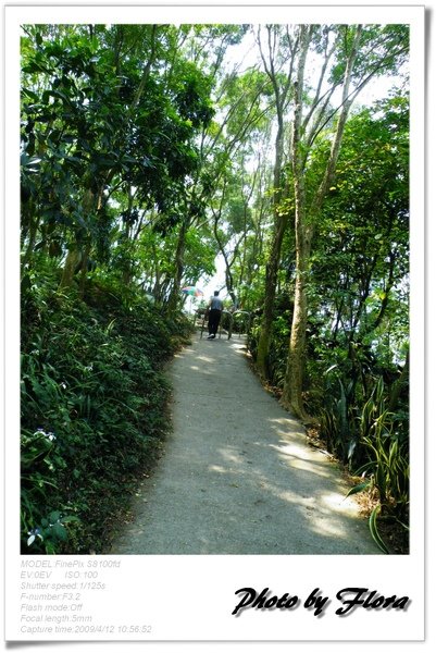 彰化田中森林公園