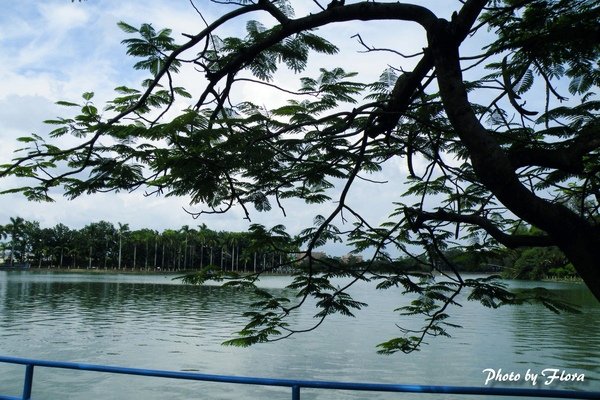 高雄澄清湖湖面